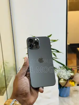Apple iPhone 13 Pro Max 256 GB Black