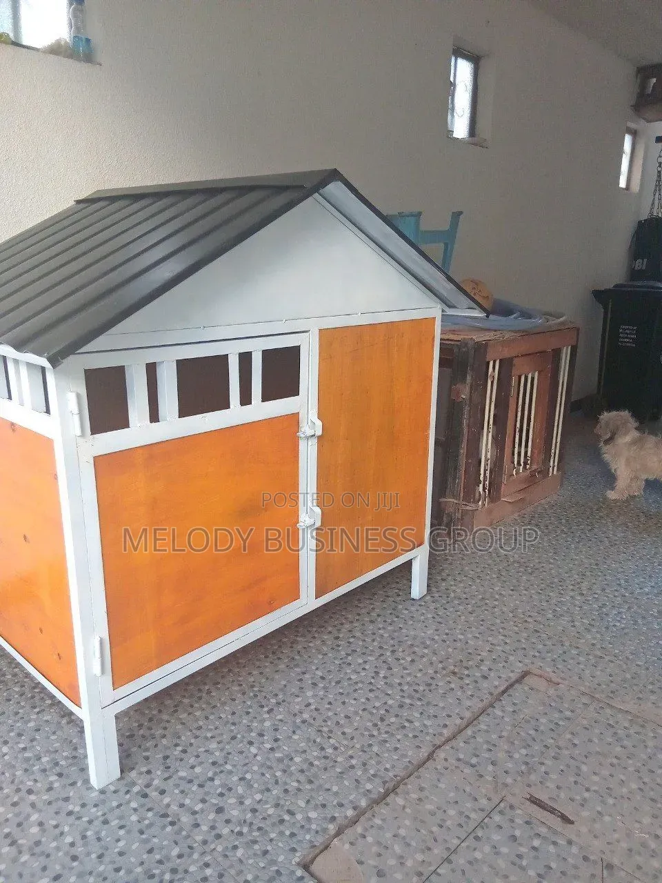 Dog House, የውሻ ቤት