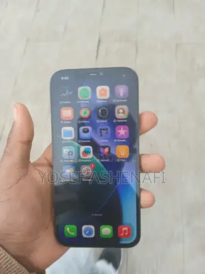 Apple iPhone 12 Pro Max 256 GB Green