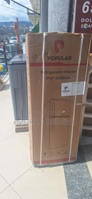 Popular Fridge