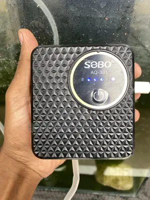 Chargeable Airpump