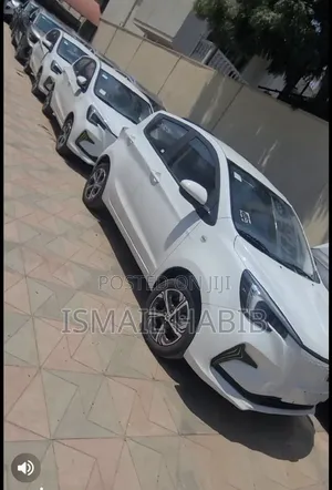 New Changan BenBen 2024 Off white