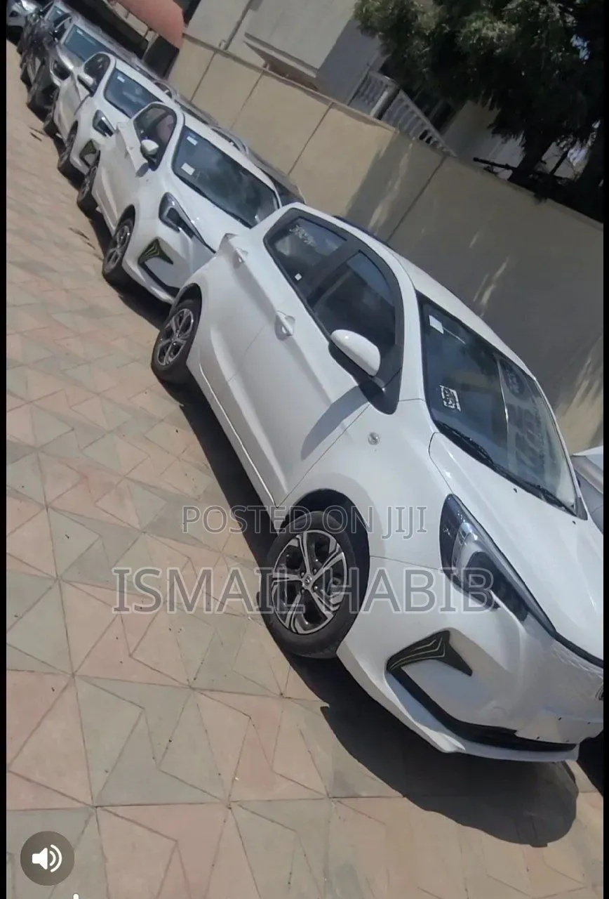 New Changan BenBen 2024 Off white