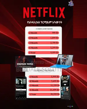 Netflix Premium Account Subscription — UHD | ናይትፍሊክስ ፕሪሚየም