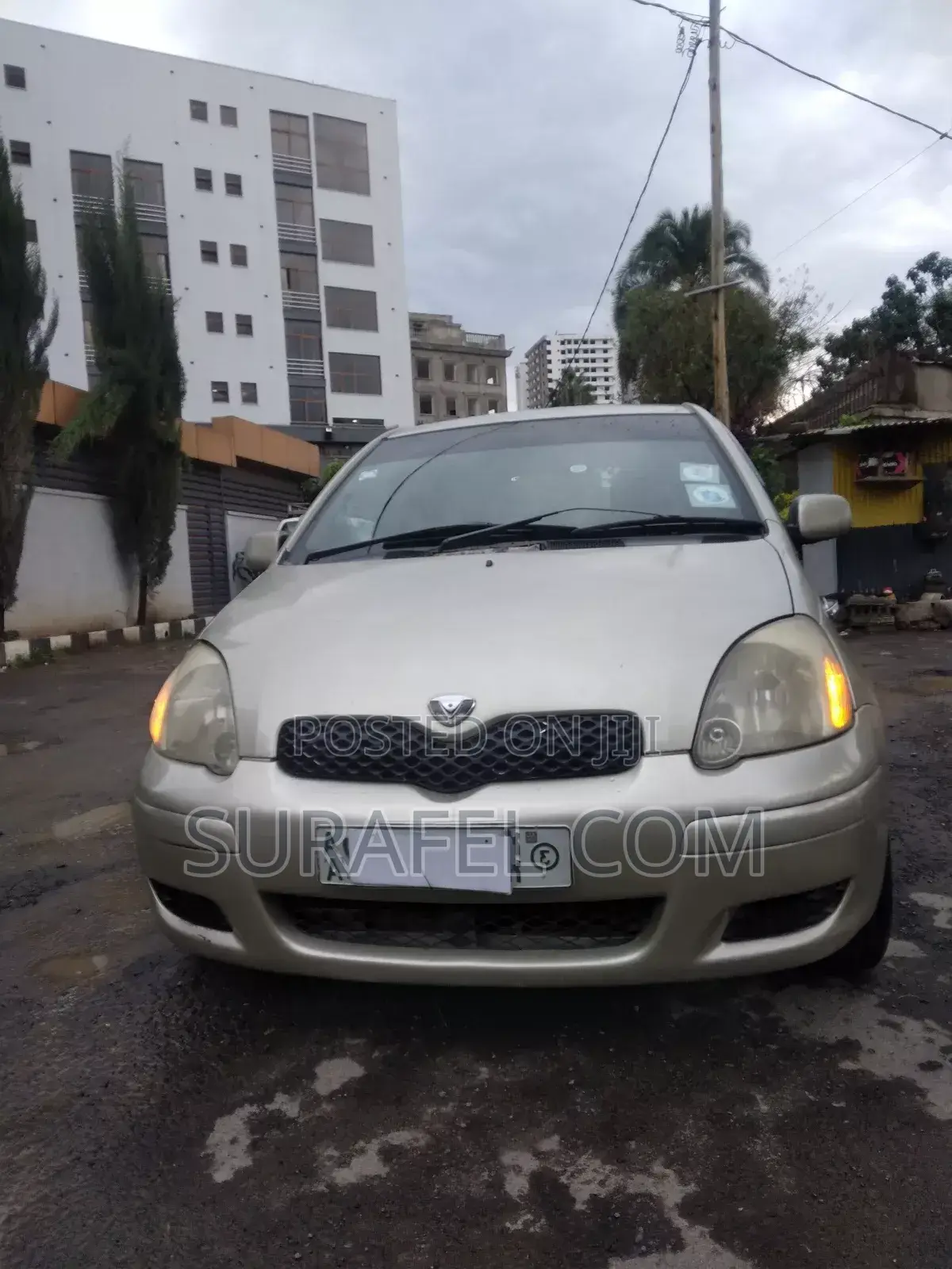 Toyota Vitz 2004 Gold