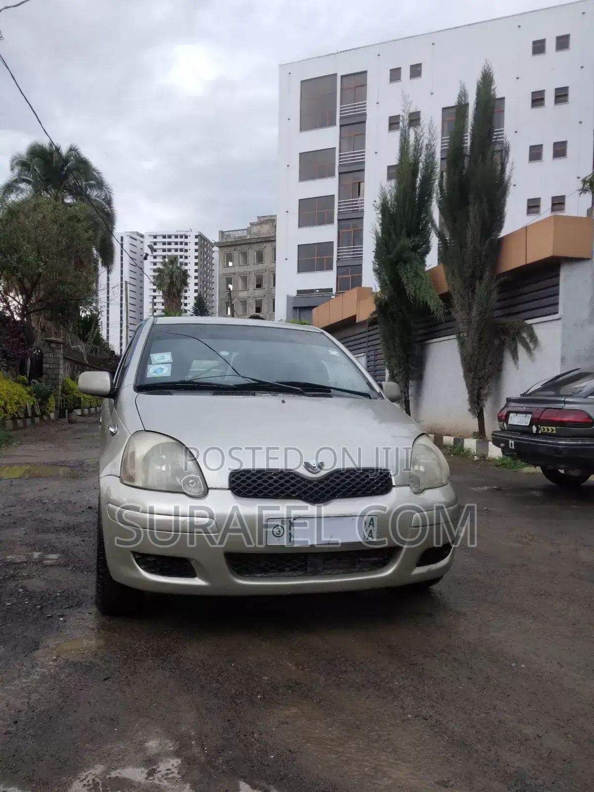 Toyota Vitz 2004 Gold