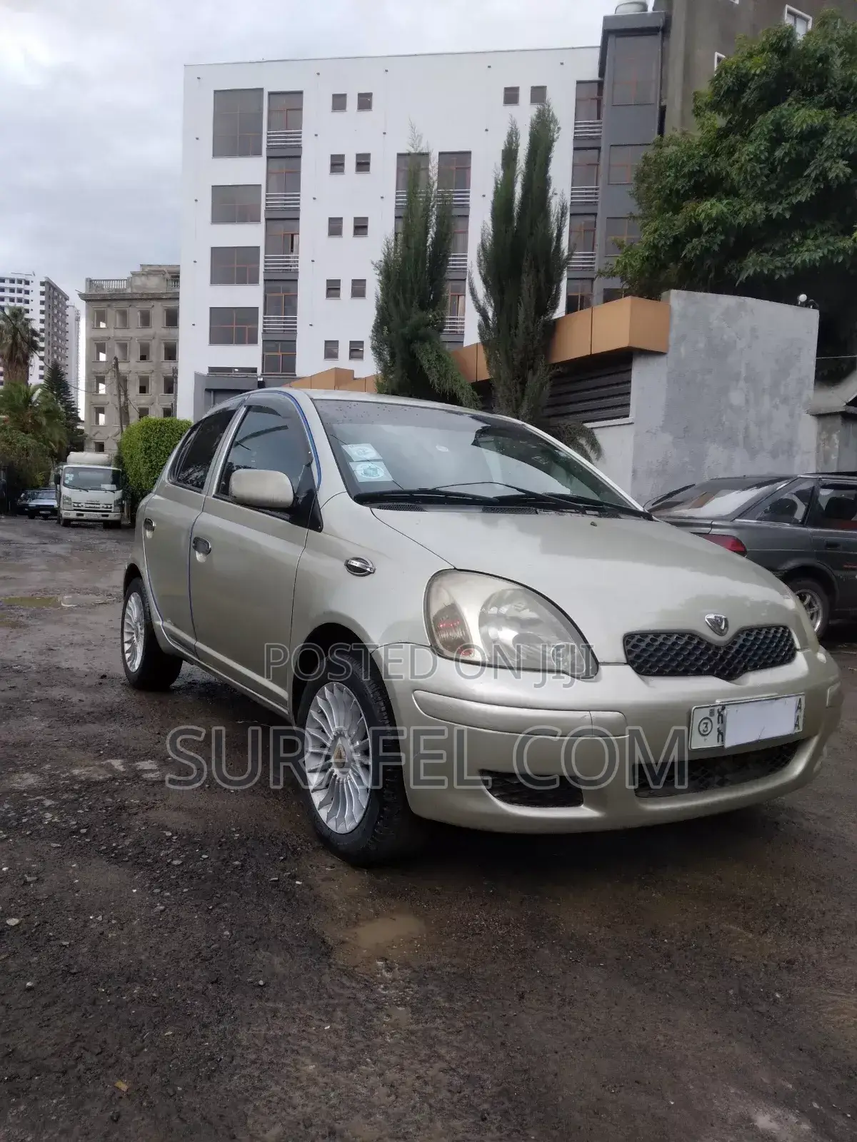 Toyota Vitz 2004 Gold