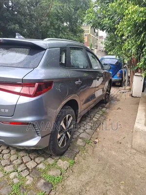 BYD E2 43 kWh 94 hp FWD 2024 Gray