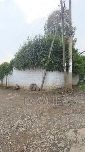 አስቸኳይ መሬት ሽያጭ