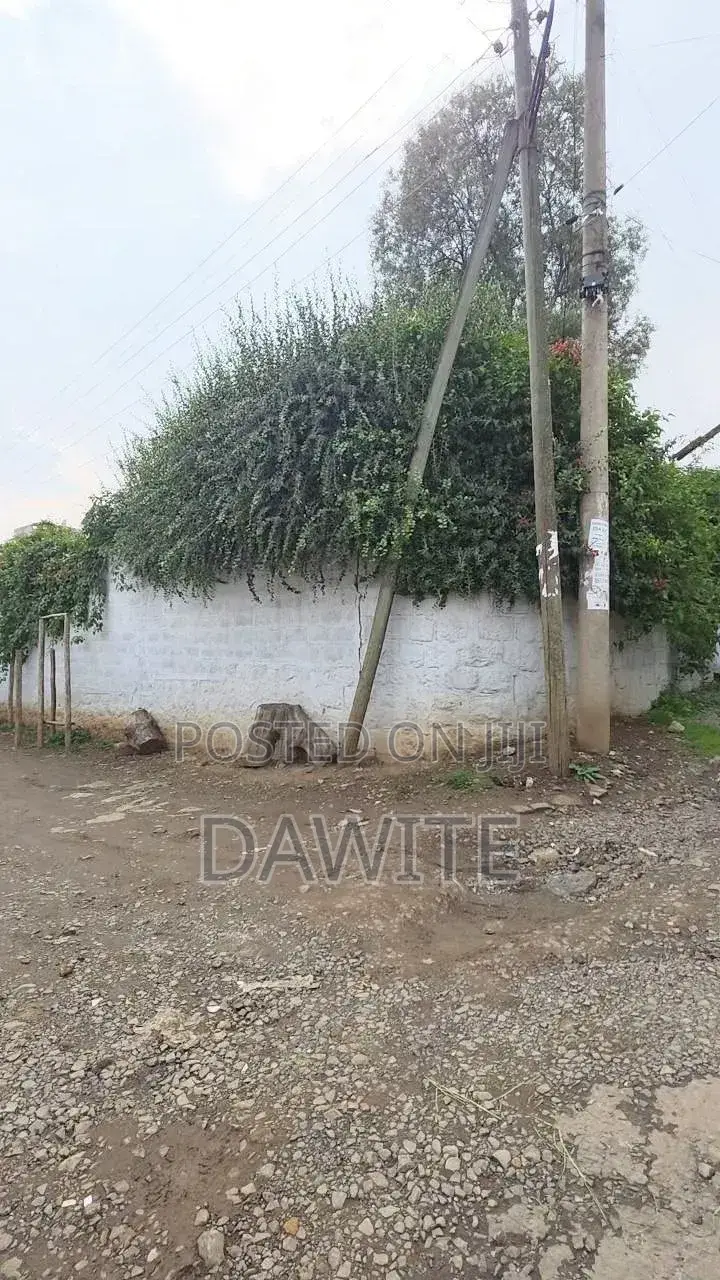 አስቸኳይ መሬት ሽያጭ
