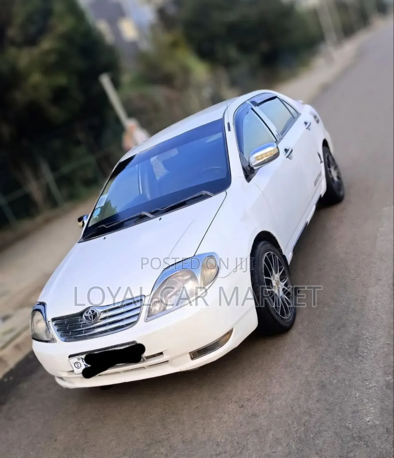 Toyota Corolla 2002 White