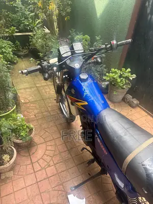 Suzuki 1998 Blue