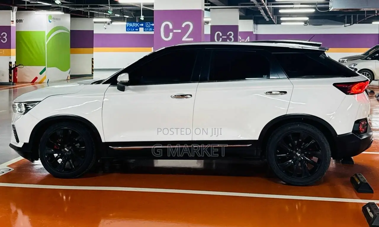Faw Vita 2015 White
