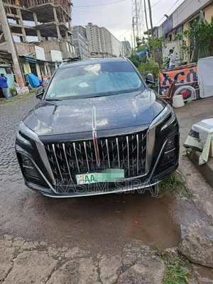 Hongqi E-HS9 2025 Gray
