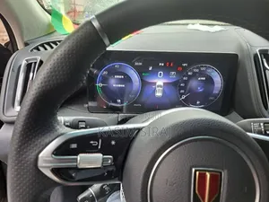 Hongqi E-HS9 2025 Gray