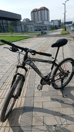 Tricycle 2020 White
