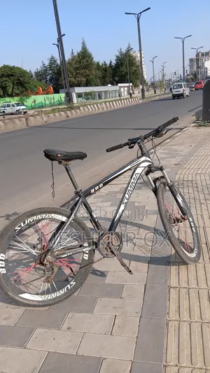 Tricycle 2020 White