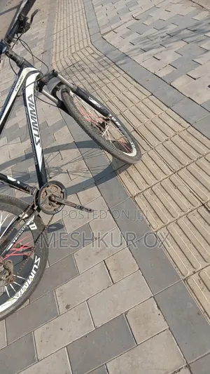 Tricycle 2020 White