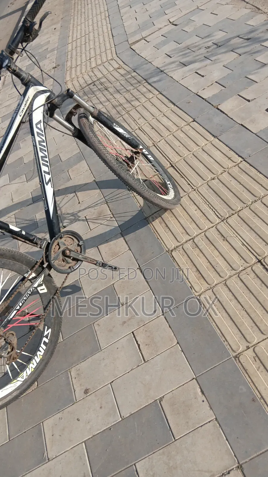 Tricycle 2020 White