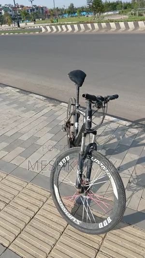 Tricycle 2020 White