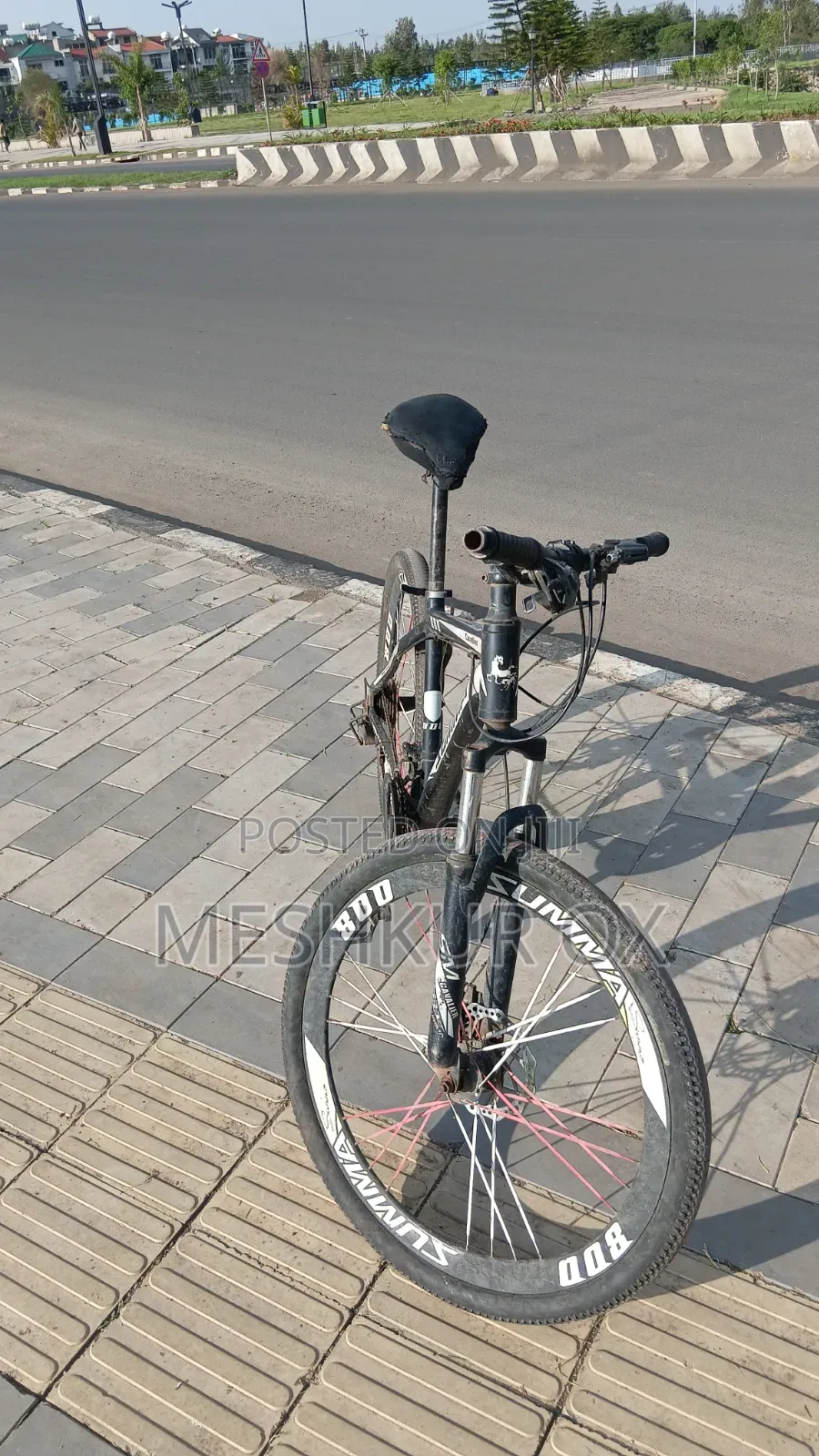 Tricycle 2020 White