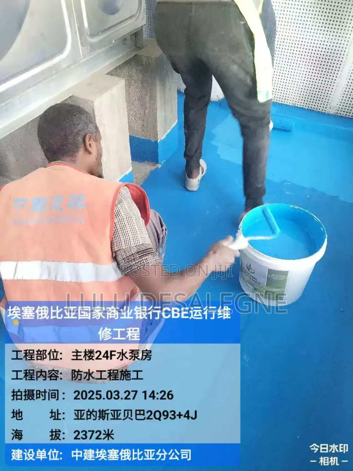 Interior and Exterior Wall Paint