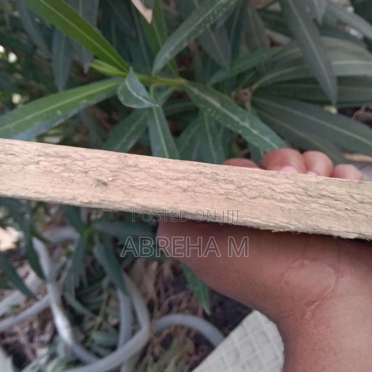 Wood Palette