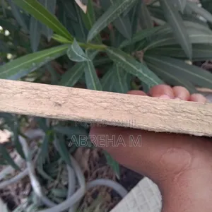 Wood Palette