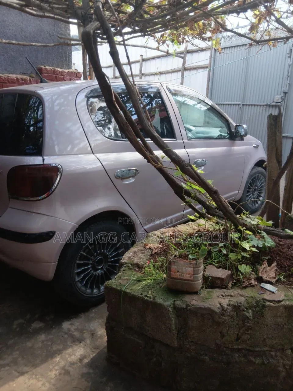 Toyota Vitz 2004 Gold