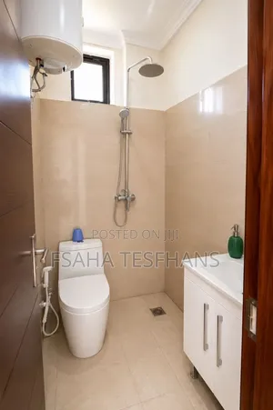 Furnished 2bdrm Apartment in Apartment, Bole for rent