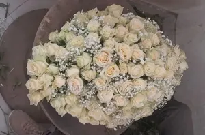 ቀብር አስፈፃሚ 24 ሰአት