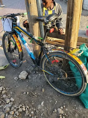 Phonex Mountain Bicycle