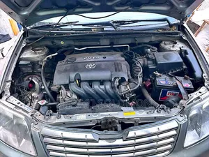 Toyota Corolla 2007 Gray