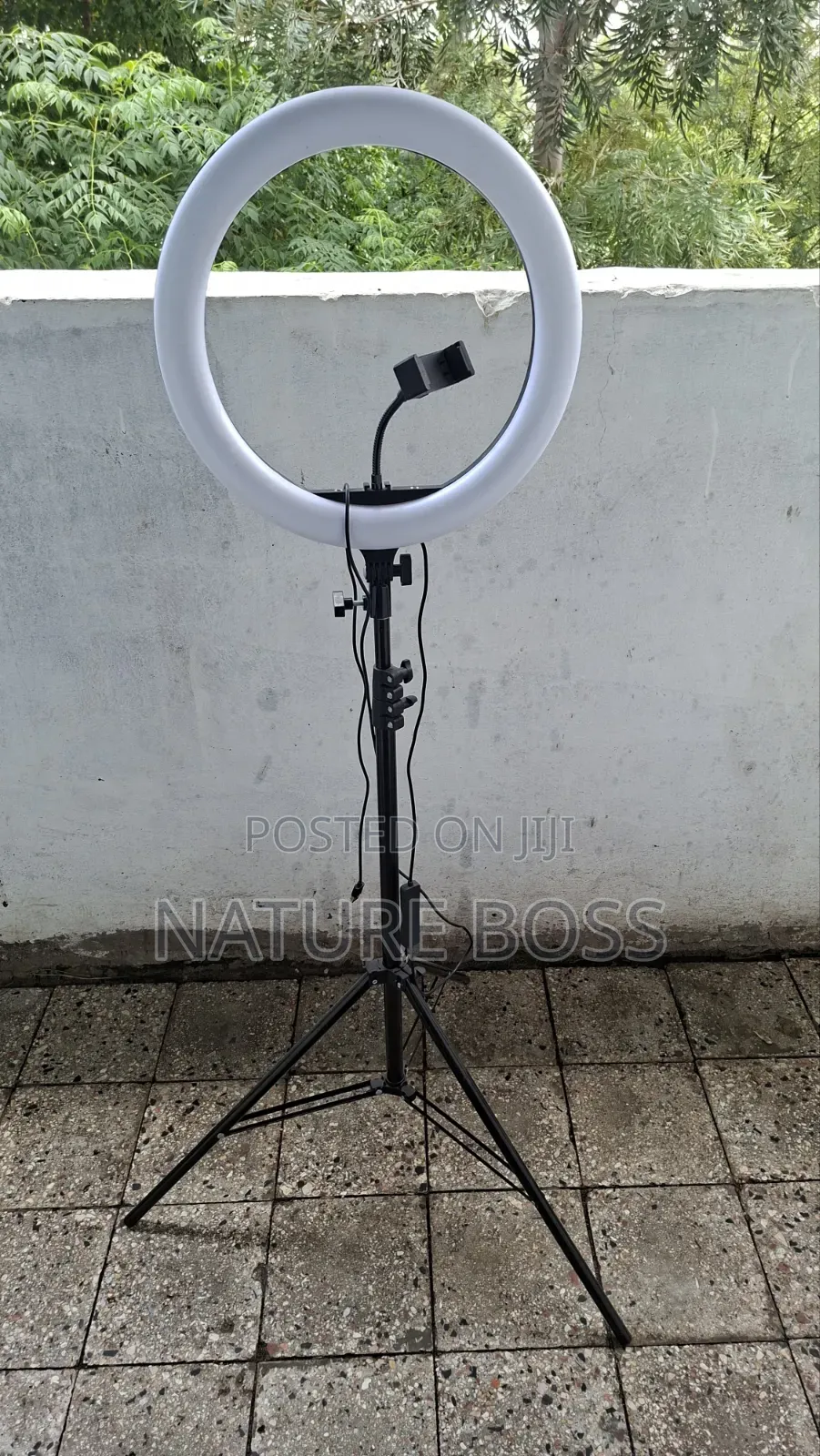 14-Inch Ring Light