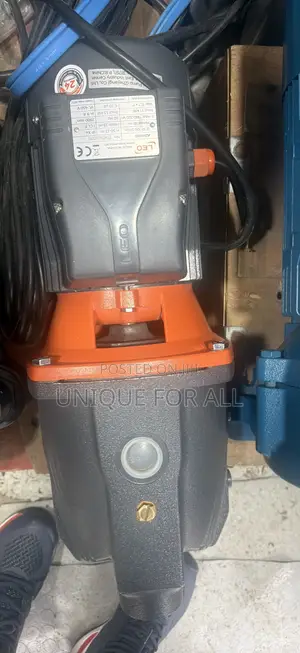 Leo AJM110 Pump