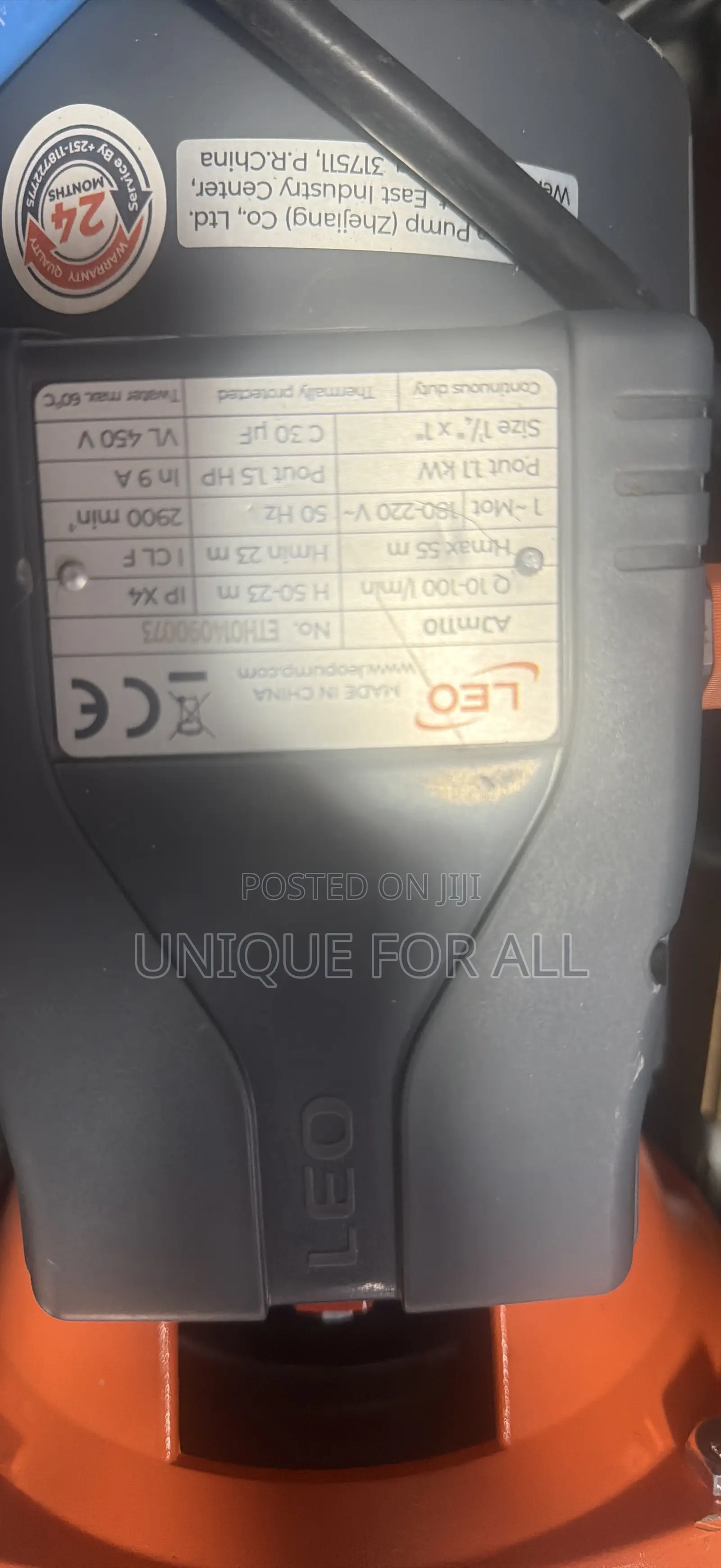 Leo AJM110 Pump