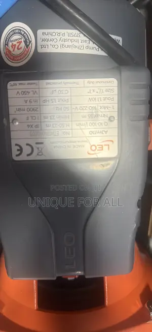 Leo AJM110 Pump