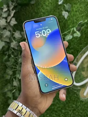 Apple iPhone 13 Pro Max 256 GB Silver