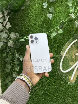 Apple iPhone 13 Pro Max 256 GB Silver