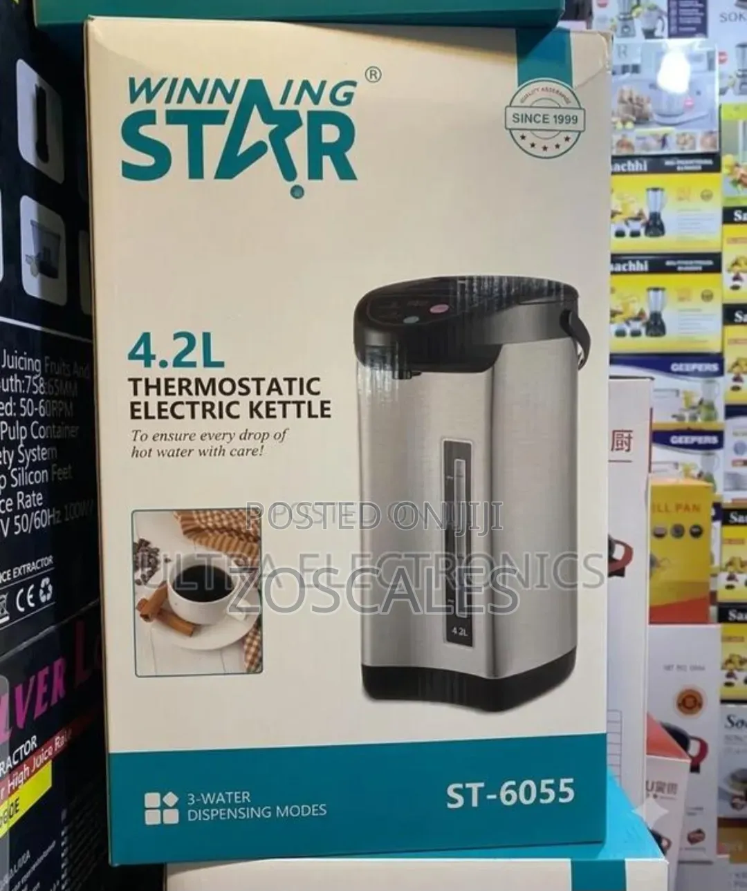 Electric Thermostatic Kettle
