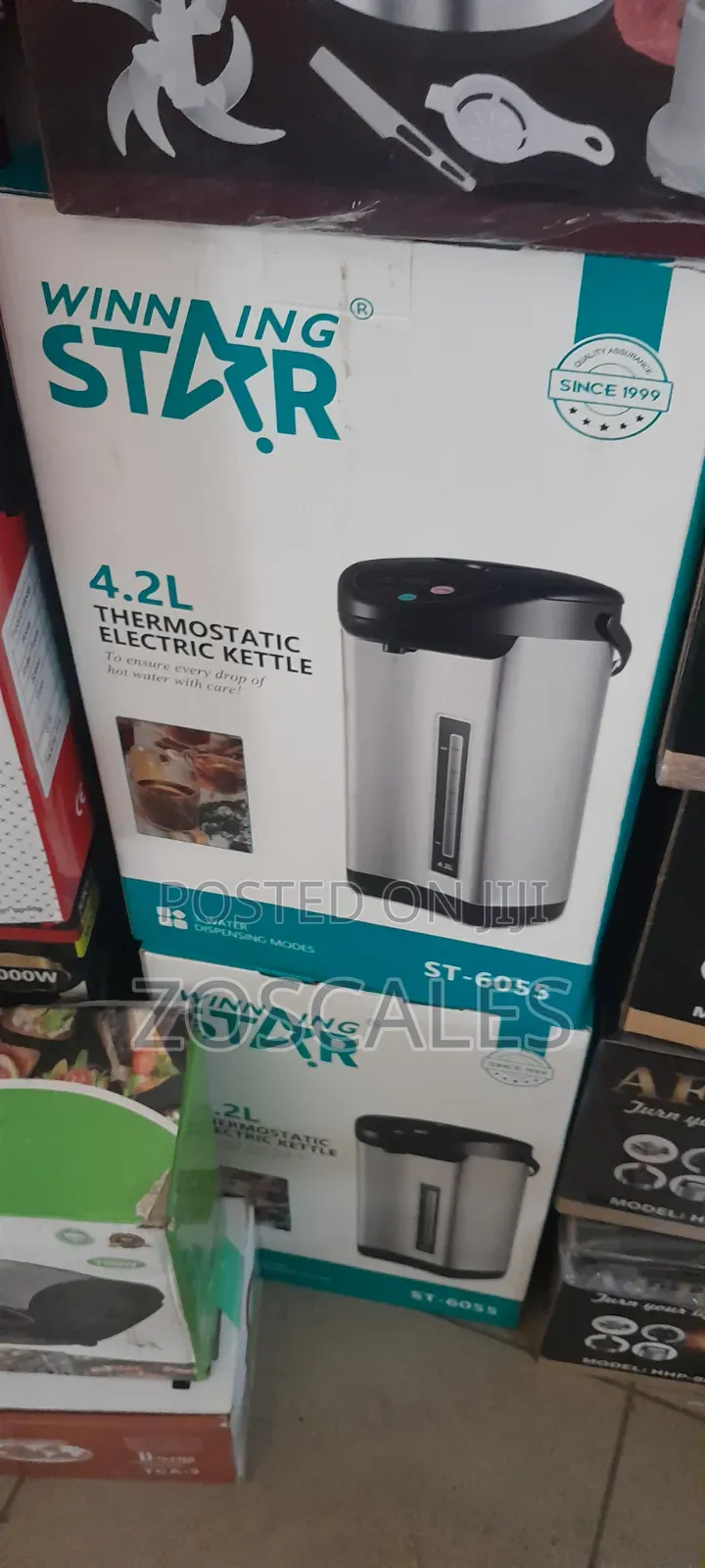 Electric Thermostatic Kettle