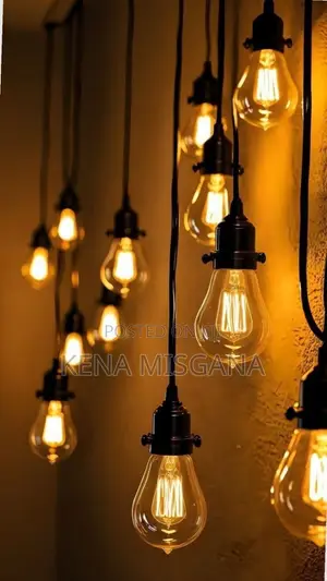 String Lights Bulbs