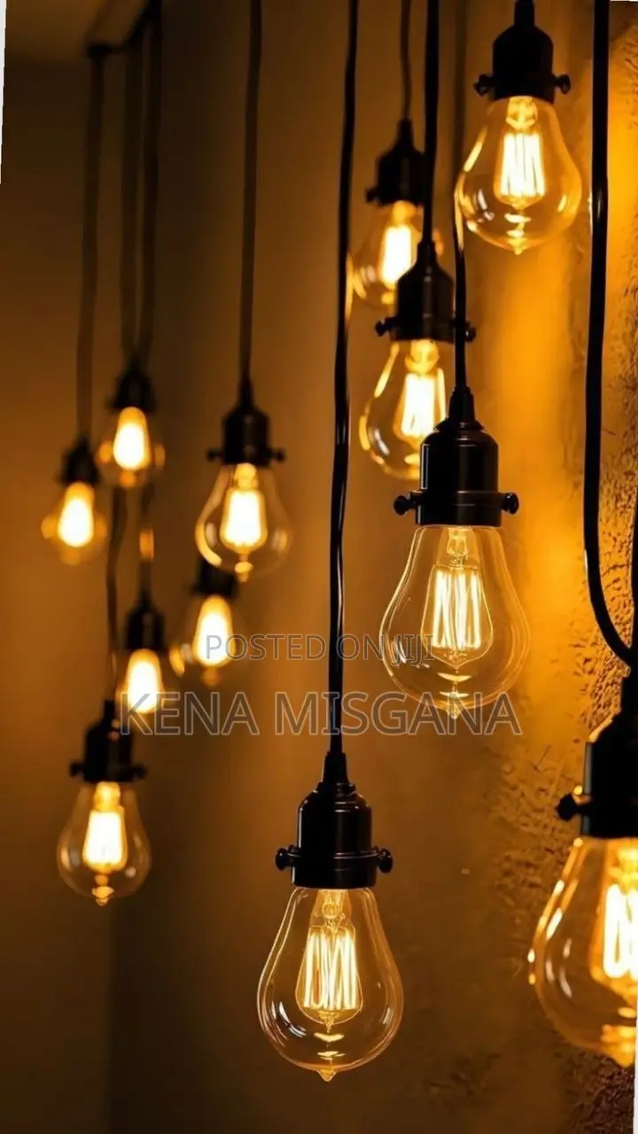 String Lights Bulbs