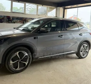 BYD Yuan Plus 2025 Gray