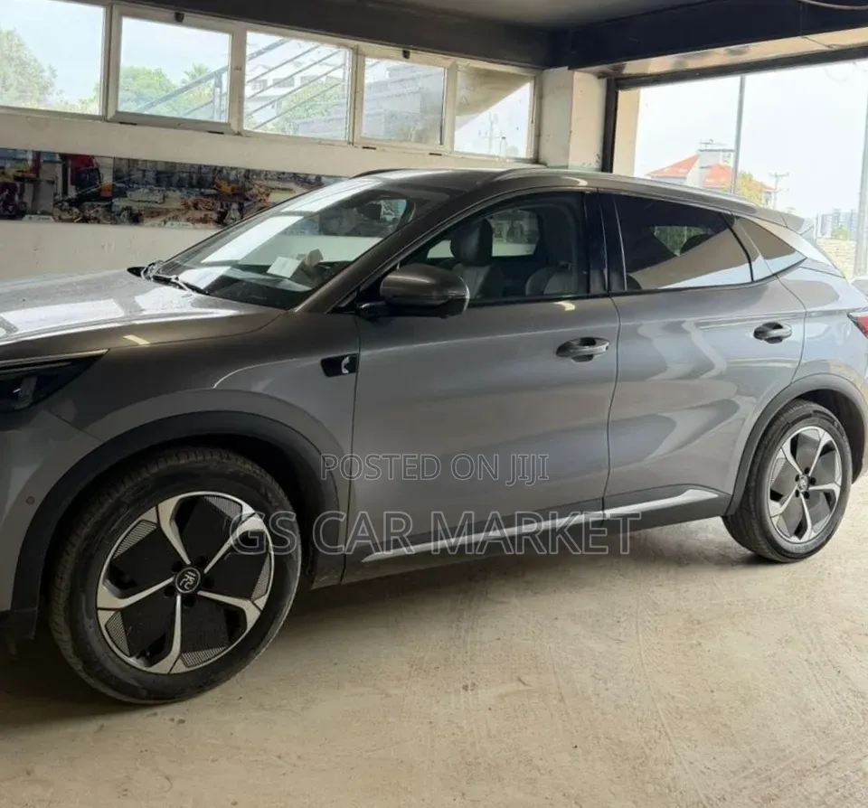 BYD Yuan Plus 2025 Gray