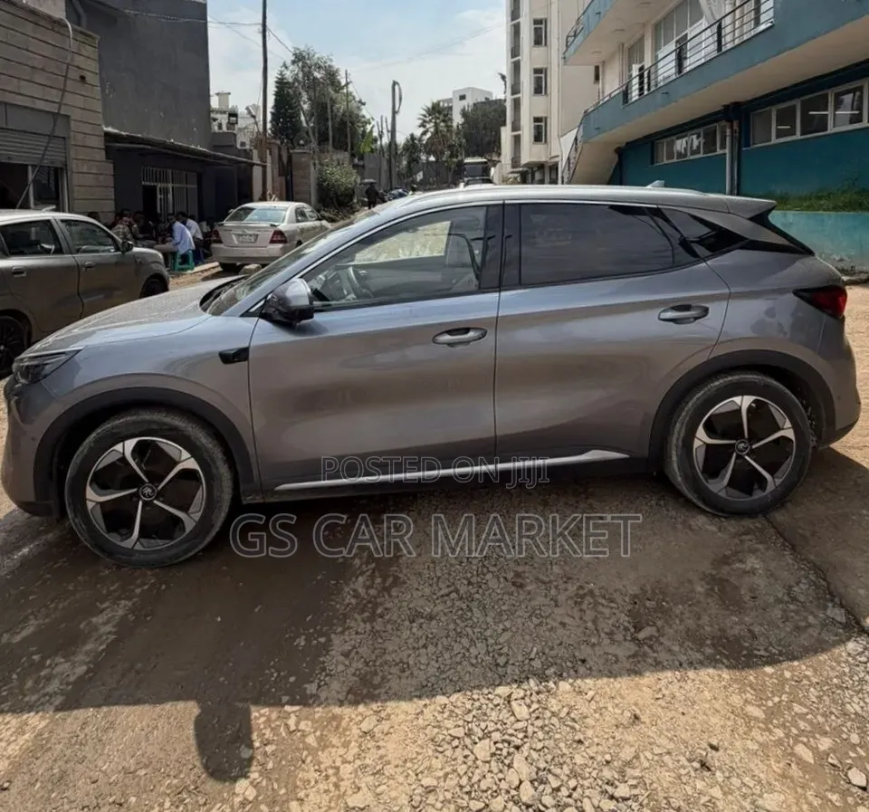 BYD Yuan Plus 2025 Gray