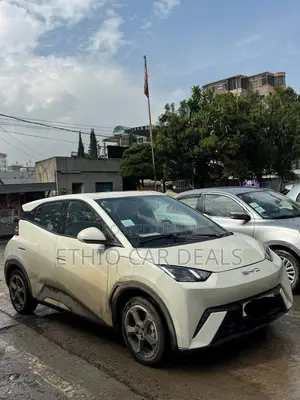 New BYD Seagull 2023 White