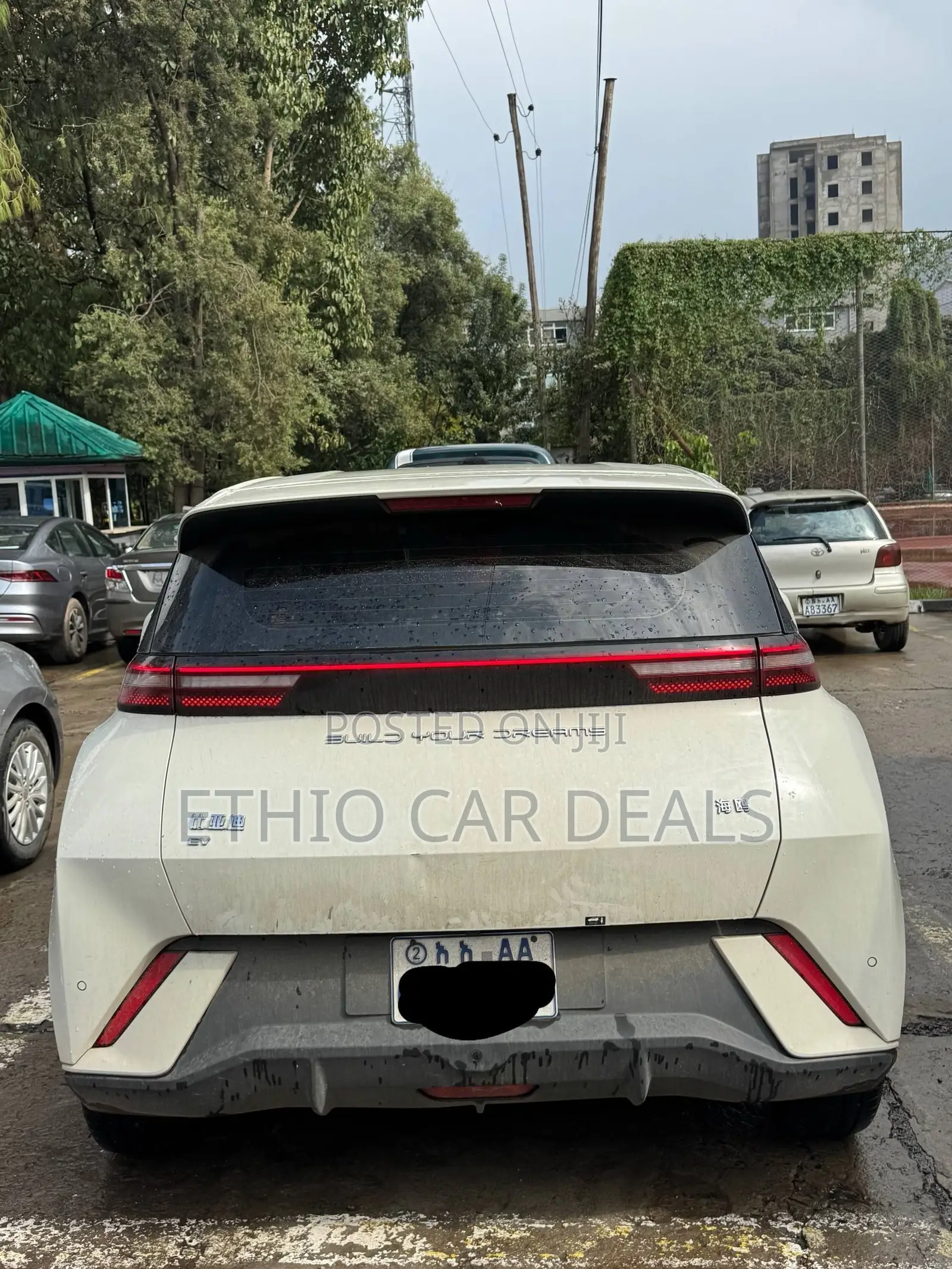 New BYD Seagull 2023 White