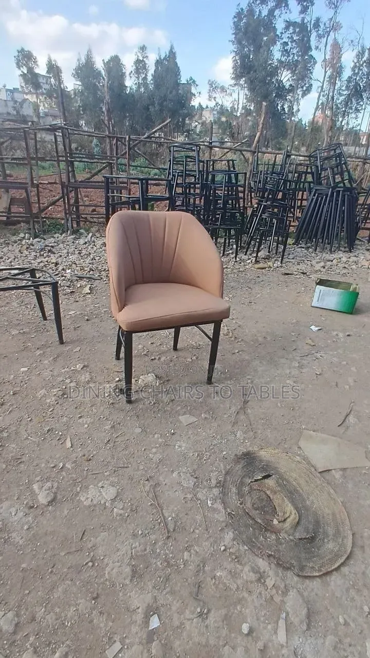 Modern Quality Leather Dining Chairs