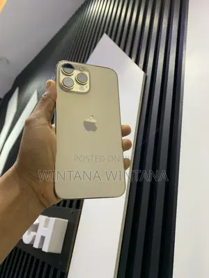 Apple iPhone 13 Pro Max 256 GB Gold